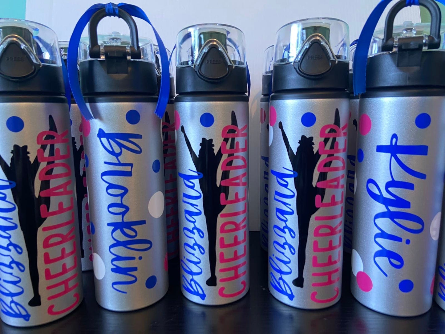 Cheer On-The-Go Water Bottle – Varsity Shop